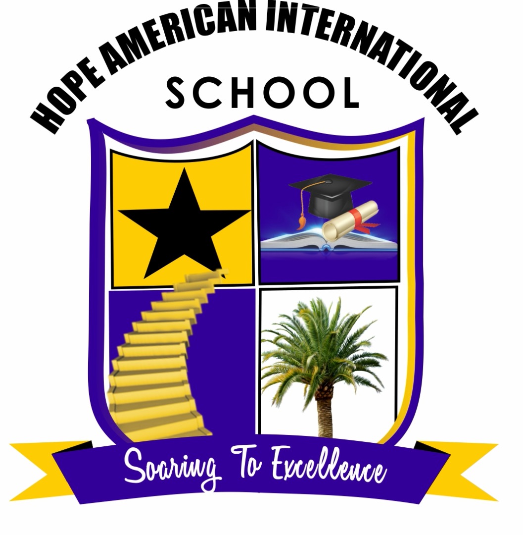 Soaring To Excellence